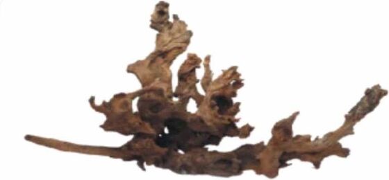Wabi Kusa Drift Wood