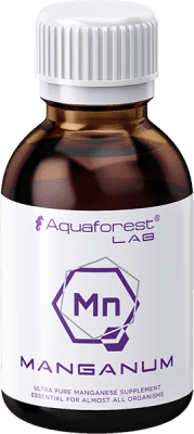 Aqua forest manganum-1