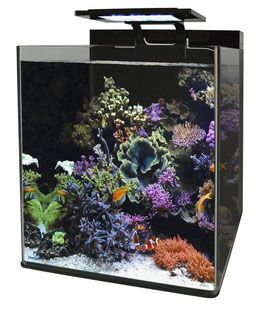 Blue Marine Reef 60 Nano - Nano Zeeaquarium
