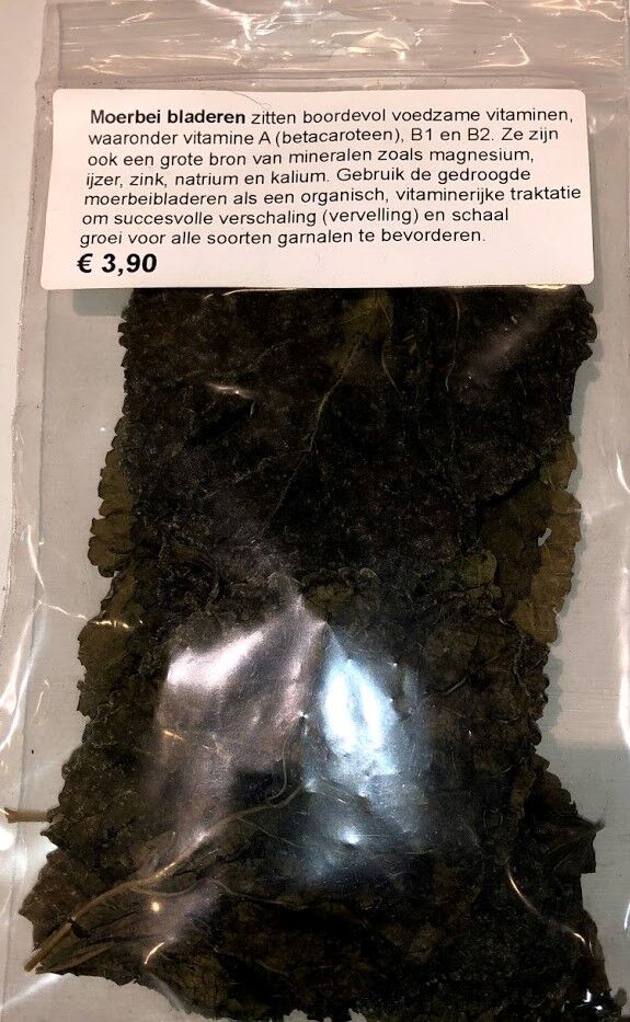 Moerbei blad - Mulberry leaves - Afbeelding 4
