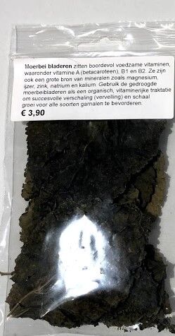 Moerbei blad - Mulberry leaves - Afbeelding 5