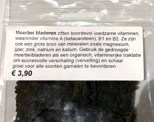 Moerbei blad - Mulberry leaves - Afbeelding 6