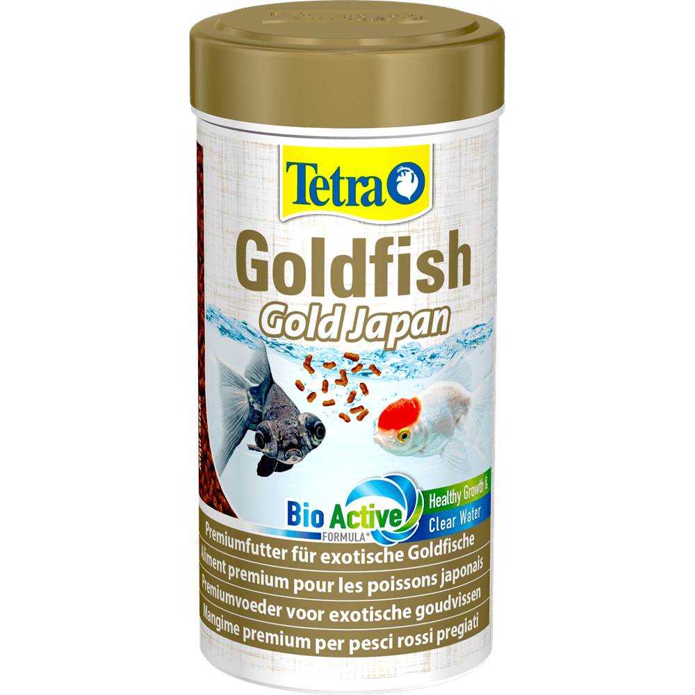 Tetra Goldfish Gold Japan