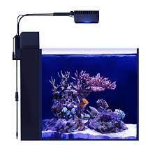 Red Sea max-nano-peninsula 1