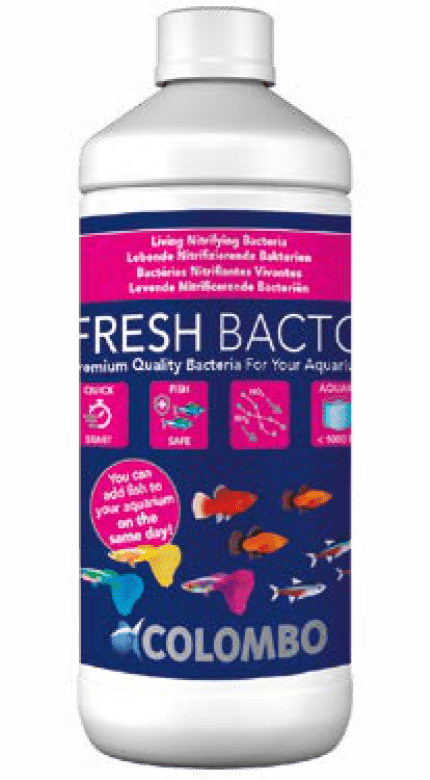 Colombo Fresh bacto 1000ml