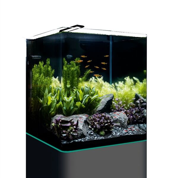 Dennerle Nano Cube Complete 60 L - Dennerle Nano cube compleet 60 Liter - Afbeelding 2