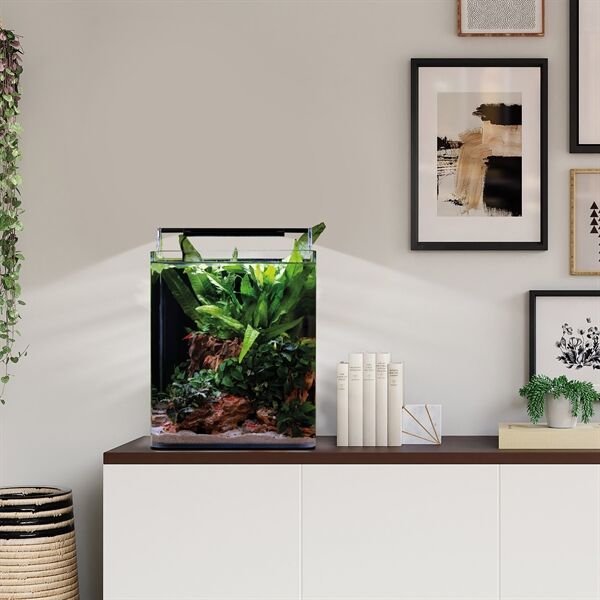 Dennerle Nano Cube Complete 20 L - Dennerle Nano cube compleet 20 Liter - Afbeelding 4